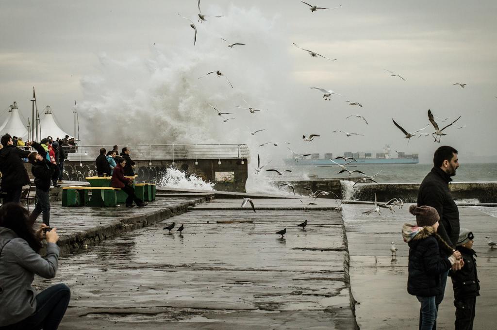 Shestaya Zhemchuzhina Odessa Dış mekan fotoğraf